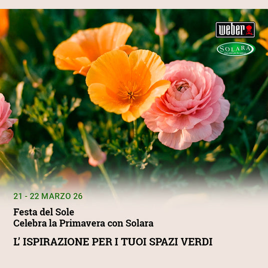 Festa del Sole: Un Weekend di Primavera e Ispirazione Verde